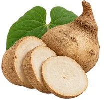 Bust Firming — Pueraria Mirifica root extract
